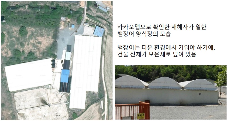 "다시 일한다면 그곳이 포르말린 뿌리는 '양식장'이 아니면 해요"