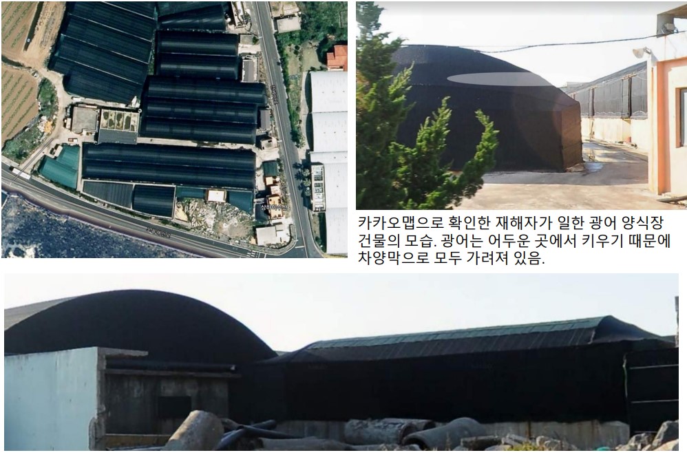 "다시 일한다면 그곳이 포르말린 뿌리는 '양식장'이 아니면 해요"
